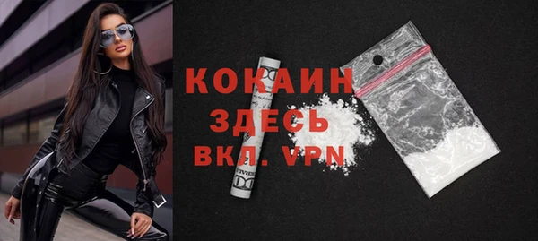 дживик Осинники