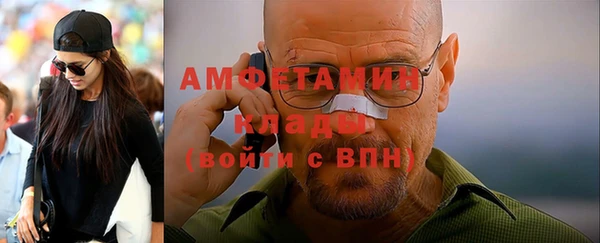 дживик Осинники