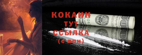 дживик Осинники