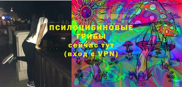 дживик Осинники
