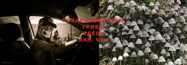 ALPHA PVP Гусь-Хрустальный