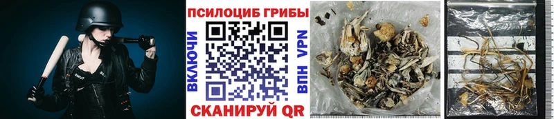 цены Можайск Галлюциногенные грибы мицелий